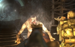 ꡼ No.007Υͥ / Razeråʤɤθ񥤥٥ȡեեޥåפˤƳ