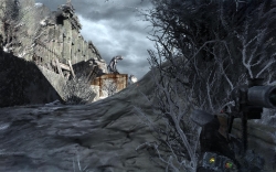 ꡼ No.008Υͥ / Razeråʤɤθ񥤥٥ȡեեޥåפˤƳ