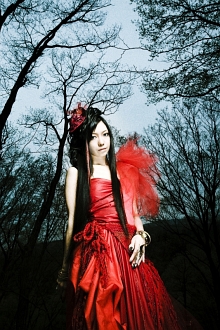 ꡼ No.051 | PSP֥󥺥֥쥤 ѥ륫1217ȯ䡣೵פɤʡˤǧǤץࡼӡǺ