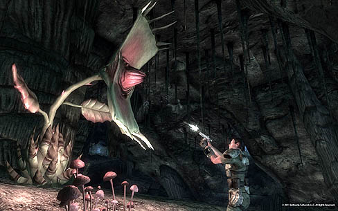 ꡼ No.004Υͥ / Bethesda SoftworksFallout: New VegasפκǿDLCHonest Heartsȯɽࡼӡ䥹꡼󥷥åȤ