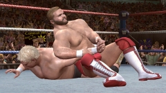 ������#004�Υ���ͥ���/��WWE Legends of WrestleMania�����������ŵ��WWE�ԥ�/�ȥ쥫