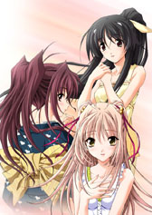 ꡼ No.002Υͥ / DLǡ֥꡼ ץ꡼Υॻ뤬1017˥