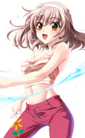 ꡼ No.004Υͥ / DLǡ֥꡼ ץ꡼Υॻ뤬1017˥