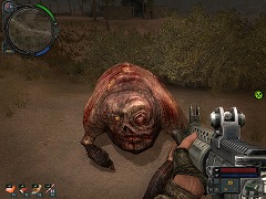 ꡼ No.012 | ٤ܸ饤С󤬤 ֥ȡ   ץԥ ܸǡס2010ǯ42ȯ