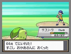 ꡼ No.033 | ˡ֥ݥ⡦10ǯNDSѥեȤȤƥᥤ礭ѥåפ֥ݥåȥ󥹥 ϡȥɡ륷Сץӥ塼