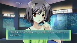 ꡼ No.002 | ֥⥪6NR׽бͥ5ƤϽǵεܺ걩ᤵ