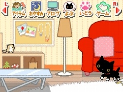 ���������꡼ No.008�Υ���ͥ������ / �İ�������˻פ鷺̴��ˡ����˥�ƥ�ɡ�DS�ַ����ˤ�󤳡����򤤷�����Ϥ���ǭ�Ȥ��餷�Ϥ���ޤ��������פ�2009ǯ7���ȯ��