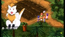 ꡼ No.019 | ȡ꡼Ҳ³ʤɡLUNAR HARMONY of SILVER STARפκǿ5Ƥ