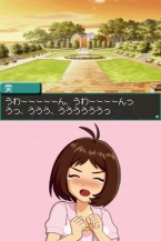 ꡼ No.017 | ֥ɥޥ ǥ꡼פȯ917˷ꡣCERO졼ƥ󥰤C15аʾоݡˤ