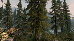 ꡼ No.017 | PRۡSkyrimŬưPCפϤ4ALIENWARE Auroraפǡʥեå´ǽ