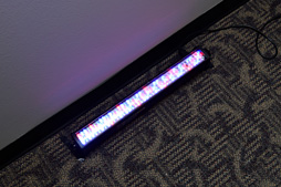 ꡼ No.039 | ALIENWARE쥯ȥ˥åɥ롼סThe Glitch MobפȤΥ̤SXSWϪߤTwitchۿ롼פ