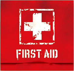 ꡼ No.001 | EA֥ե 4 ǥå 2θ٥Ȥոǳšνϡ˥ե饤ѥ򿶤󤽤