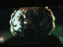 ꡼ No.017Υͥ / TGS 2010ϡXbox 360ˤܤΥꥨϤԲķɡMS5Kinectѥȥʤɤȯɽ줿TGS 2010Ĵֱݡ