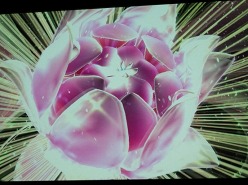 ꡼ No.020Υͥ / TGS 2010ϡXbox 360ˤܤΥꥨϤԲķɡMS5Kinectѥȥʤɤȯɽ줿TGS 2010Ĵֱݡ