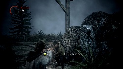 ꡼ No.008 | ϸ¤ȤⰭ̴٥ȥ顼ȤγƣȶǺ顼ADVAlan Wake