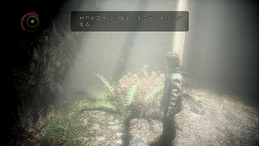 ꡼ No.016 | ϸ¤ȤⰭ̴٥ȥ顼ȤγƣȶǺ顼ADVAlan Wake