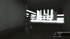 ꡼ No.015 | ȯ֥ץ󥿡 פΥӥ塼Ǻܡ3ǯ֤˵äƤࡦեå㡼Υ磻ɤ֤˶س