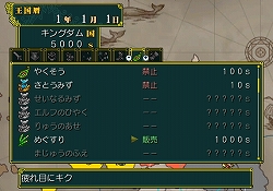 画像集#011のサムネイル/1000Wiiポイントで本格的な“王様ごっこ”が楽しめる! Wiiウェア「王だぁ!」本日配信開始