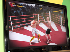 画像集#011のサムネイル/［E3 2010］日本ルール＆リングも選択可能！ 総合格闘技ゲーム「EA SPORTS MMA」の詳細レポート