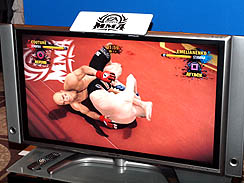 ꡼ No.013 | ܿ쥯ȥ˥åĽγƮΤȤʤ롤EA SPORTS ƮפΥץåȥࡼӡǺ