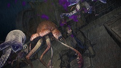 ꡼ No.056 | 饤FFǿΡϤڤǧ衣FINAL FANTASY XIV1ƥ եȥץå