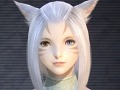 FINAL FANTASY XIVפΥե饤󥤥٥ȡȥ를 ץ饤֡ɤšΥåץǡȷײʤɤκǿ