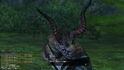 ꡼ No.015 | ץ쥤䡼Ȥ«ɬޤؤκԤ줿FINAL FANTASY XIV׶۵ޥ󥿥ӥ塼FFXIV줿ĻϤɤʿʪʤΤ