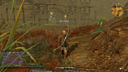 ꡼ No.024 | ץ쥤䡼Ȥ«ɬޤؤκԤ줿FINAL FANTASY XIV׶۵ޥ󥿥ӥ塼FFXIV줿ĻϤɤʿʪʤΤ