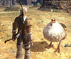 ꡼ No.002Υͥ / FINAL FANTASY XIVפϤɤʤΤ ȯκȾǯФä줫Ÿץǥ塼ȥХȥץʡʹƤߤ