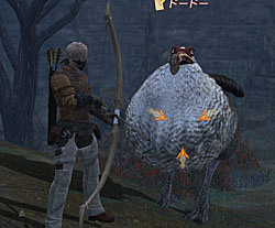 ꡼ No.003Υͥ / FINAL FANTASY XIVפϤɤʤΤ ȯκȾǯФä줫Ÿץǥ塼ȥХȥץʡʹƤߤ