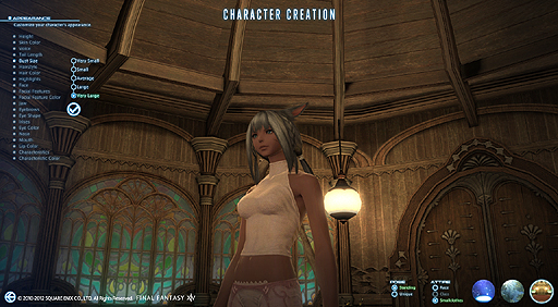 ꡼ No.005Υͥ / FINAL FANTASY XIV를סPCǦƥȥСΥ饯ꥨ̤