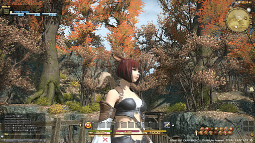 ꡼ No.032 | ԤΥХMMORPGˤ餱ʤFINAL FANTASY XIVפΥɥեʡľ˸줿FFXIVοˤĤƵľˤʹ