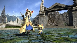 ꡼ No.003Υͥ / FFXIVס1482712˥ȡ̥ȡ꡼ŷá8ä