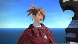 ꡼ No.003Υͥ / ֥եʥե󥿥XIVסȥɥեƥХɤ530˳