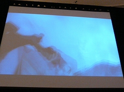 ꡼ No.007 | GDC 2010ϥ޼޺Uncharted 2: Among ThievesפΥݥȥ⡼ƥ