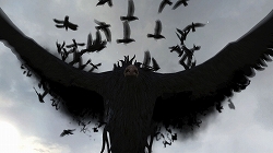 ꡼ No.005 | ֥å˥   ɥסθ111314˳šΥơǵܥȤƮڤ⤦