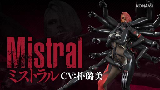 METAL GEAR RISING REVENGEANCE٥ܥХȥ