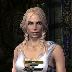 画像ギャラリー No.014のサムネイル画像 / 抜群にいいタイミングで無料トライアルも始まったMMORPG「Rift」のスクリーンショット集を掲載