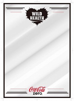 ꡼ No.003 | FIFA10 ɥ饹åͽξʤʤɾܺȯɽ