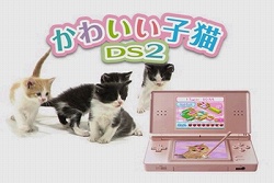 ꡼ No.001 | ͥɬ֤襤ǭDS2׸ȤǥƥCM