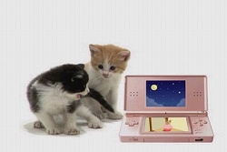 ꡼ No.003 | ͥɬ֤襤ǭDS2׸ȤǥƥCM