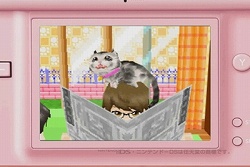 ꡼ No.004 | ͥɬ֤襤ǭDS2׸ȤǥƥCM