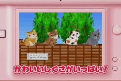 ꡼ No.005 | ͥɬ֤襤ǭDS2׸ȤǥƥCM