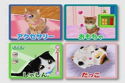 ꡼ No.007 | ͥɬ֤襤ǭDS2׸ȤǥƥCM