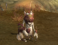 ���������꡼ No.005�Υ���ͥ������ / ��ARGO ONLINE�ס�����Φ�֥ʥ�����׼�������٥륭��åפ�55�˰����夲