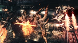 ꡼ No.004Υͥ / ֥ ץͥå 2׼ǮεAKȥåXɤҲ