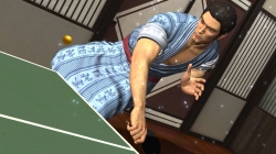 ꡼ No.017Υͥ / ζǡ4 ѤΡסԤͤΥХϤȤץ쥤ݥåȾϤоȤΥեǤϲ⡪