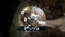 ���������꡼ No.048�Υ���ͥ������ / ����ФĤ���ޥå������ʤɡ�ζ��ǡ��4 �����Ѥ���Ρפ��о줹��ץ쥤���ݥåȷ��ο�������Ϥ������ԡ�