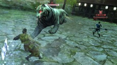 ꡼ No.014Υͥ / ष𾭤ˡ⤷ʤBASARA3פǤϤʤŪʡμɤץ쥤䡼Ԥ