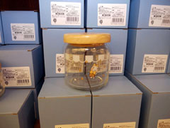 ꡼ No.014 | ڥ륲Ȥ⸽줿֥ȥΤߤ 饯ȥ꡼Ƚĥ ɡʥĤǥѥ˥åʤΥ˥㡪ץץǰ٥ȥݡ